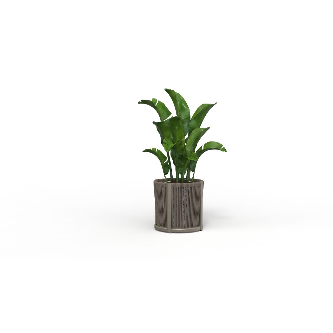 Apollo Flower Box - Black