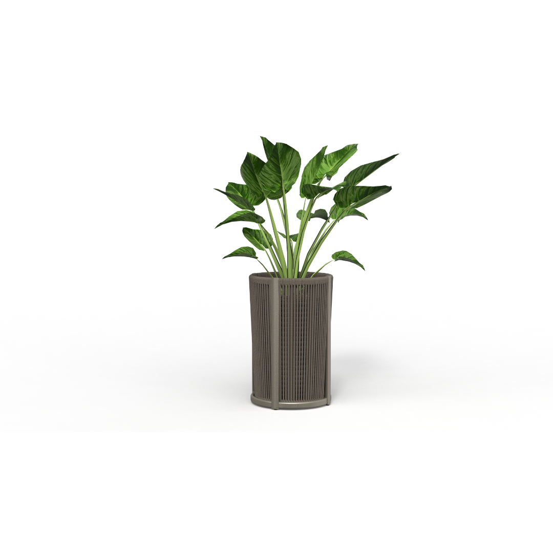 Apollo Flower Box - Black