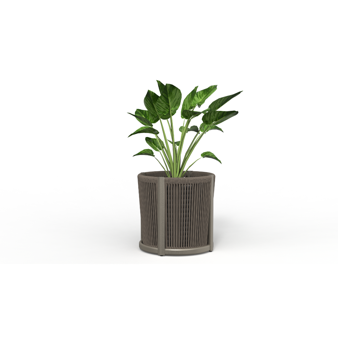 Apollo Flower Box - Black