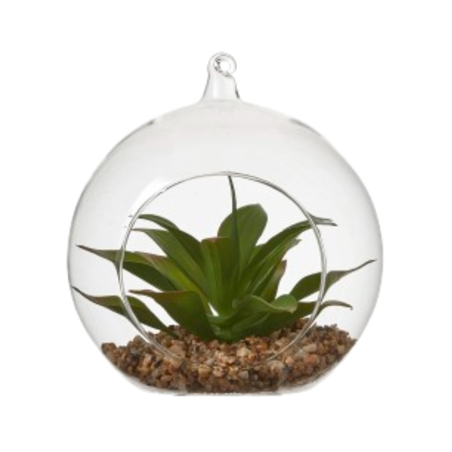 Succulent In Glass - Green