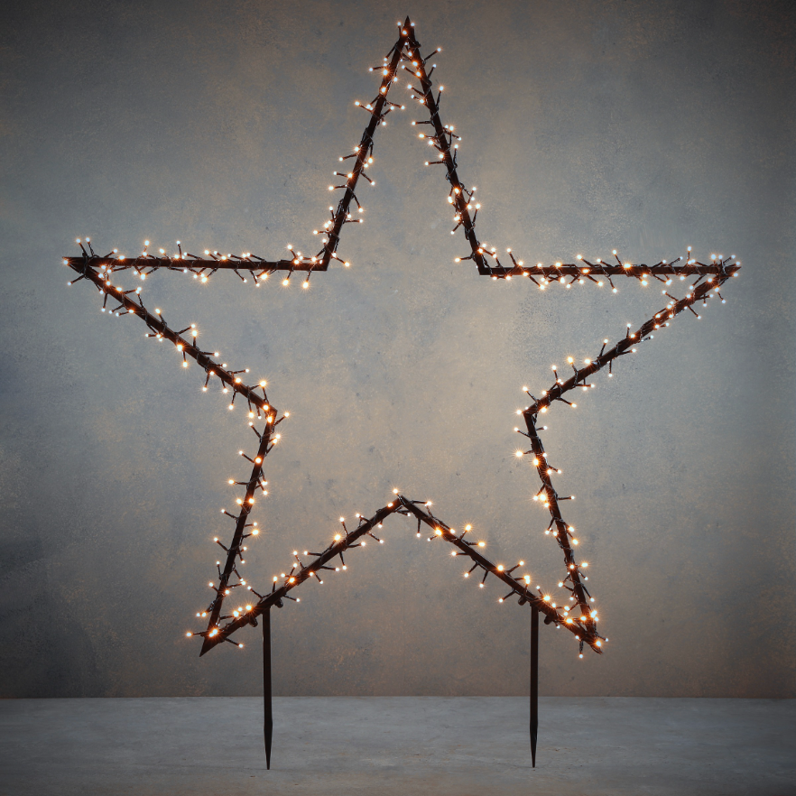Garden Star Light Stake 350 Led Warm White Light With 8 Functions