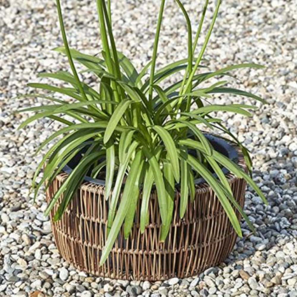 Peta Round Planter Bowl (S) Brown