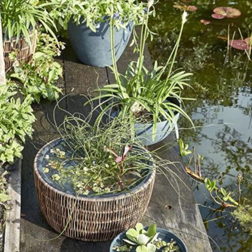 Peta Round Planter Bowl (S) Brown