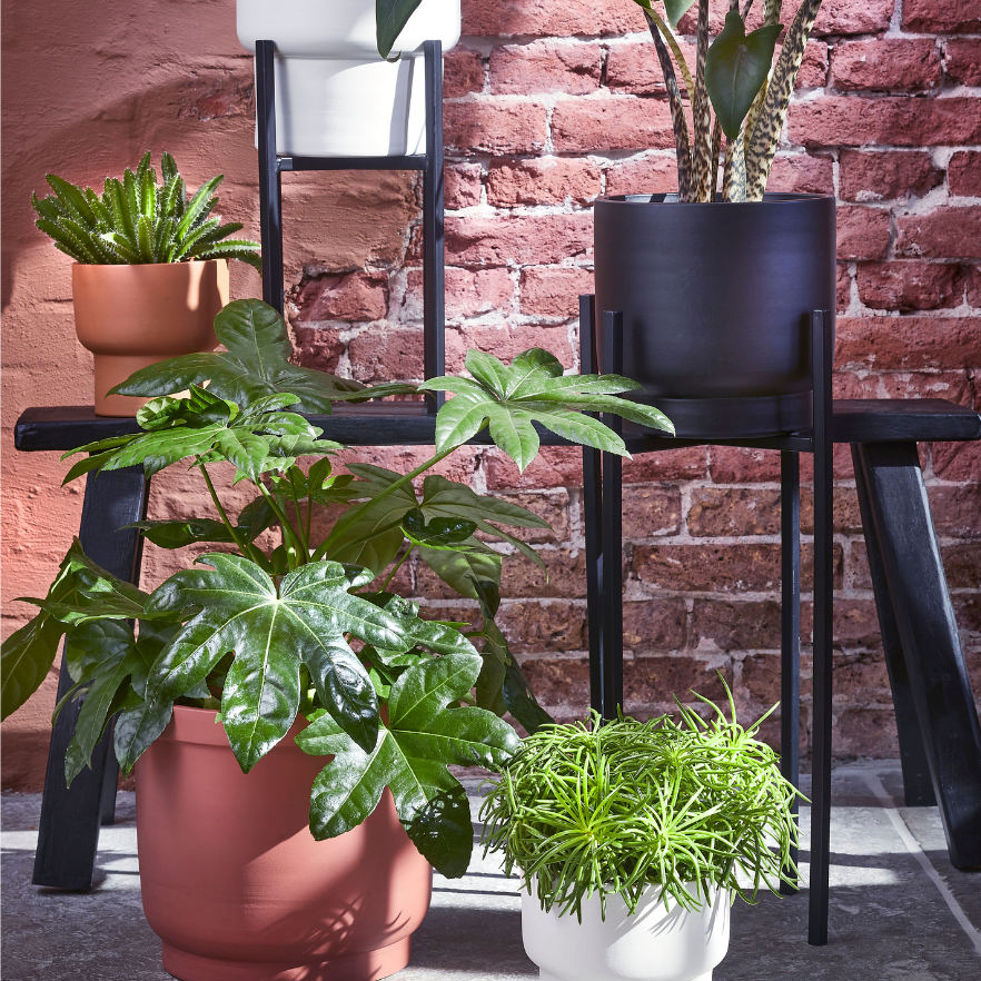 Ascot Outdoor Plant Stand - Black