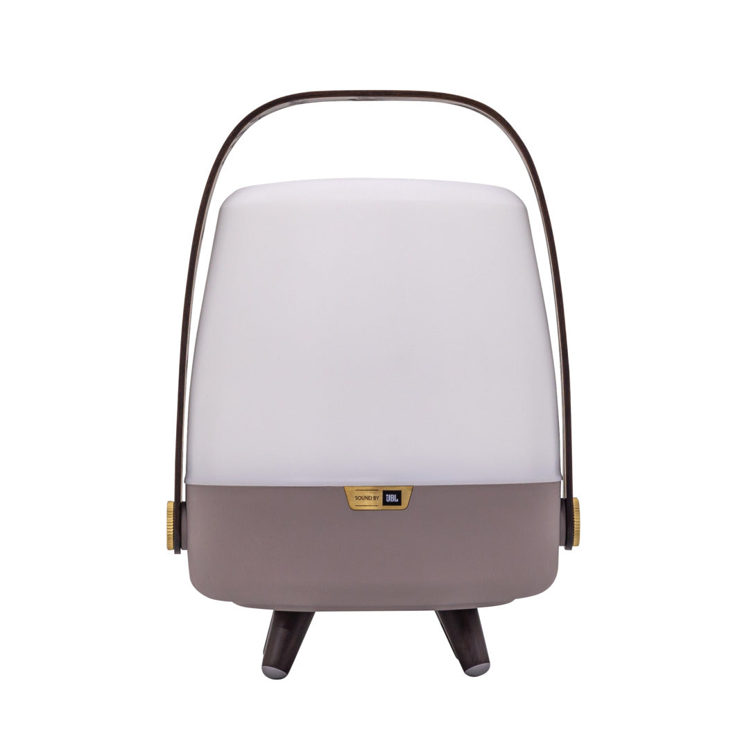 Lite-up Play Mini 2.0 (sound by JBL) Earth Speaker Lamp