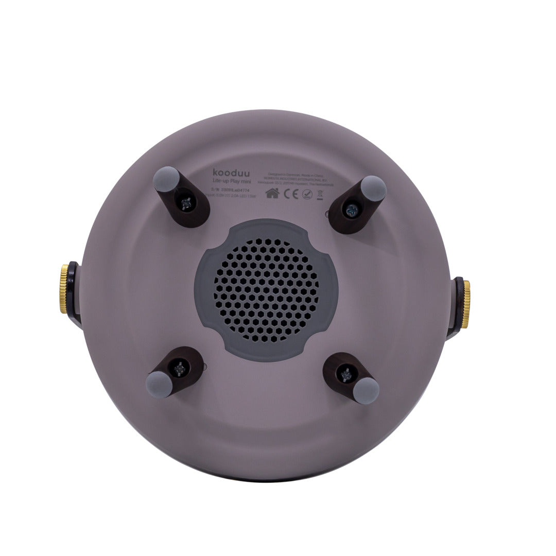 Lite-up Play Mini 2.0 (sound by JBL) Earth Speaker Lamp