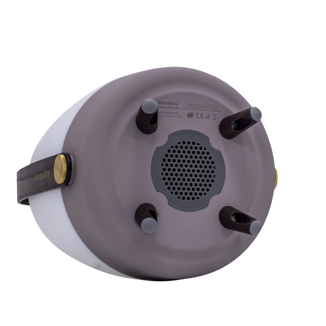 Lite-up Play Mini 2.0 (sound by JBL) Earth Speaker Lamp