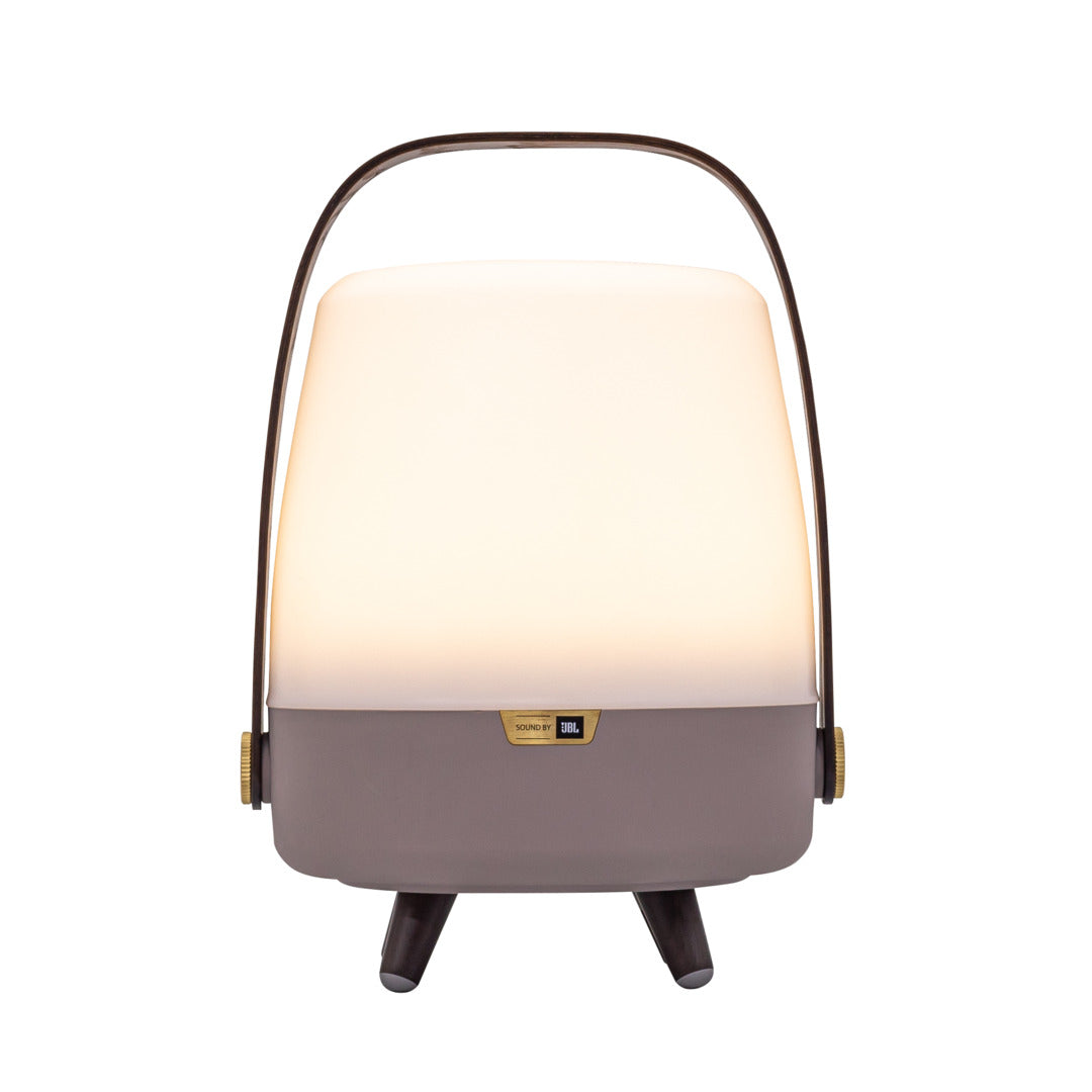 Lite-up Play Mini 2.0 (sound by JBL) Earth Speaker Lamp