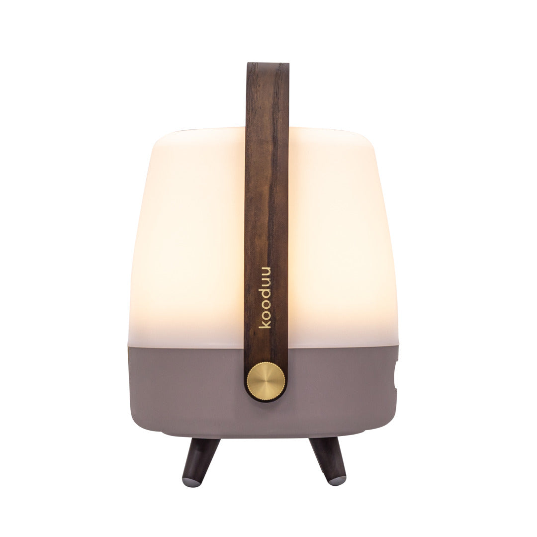 Lite-up Play Mini 2.0 (sound by JBL) Earth Speaker Lamp