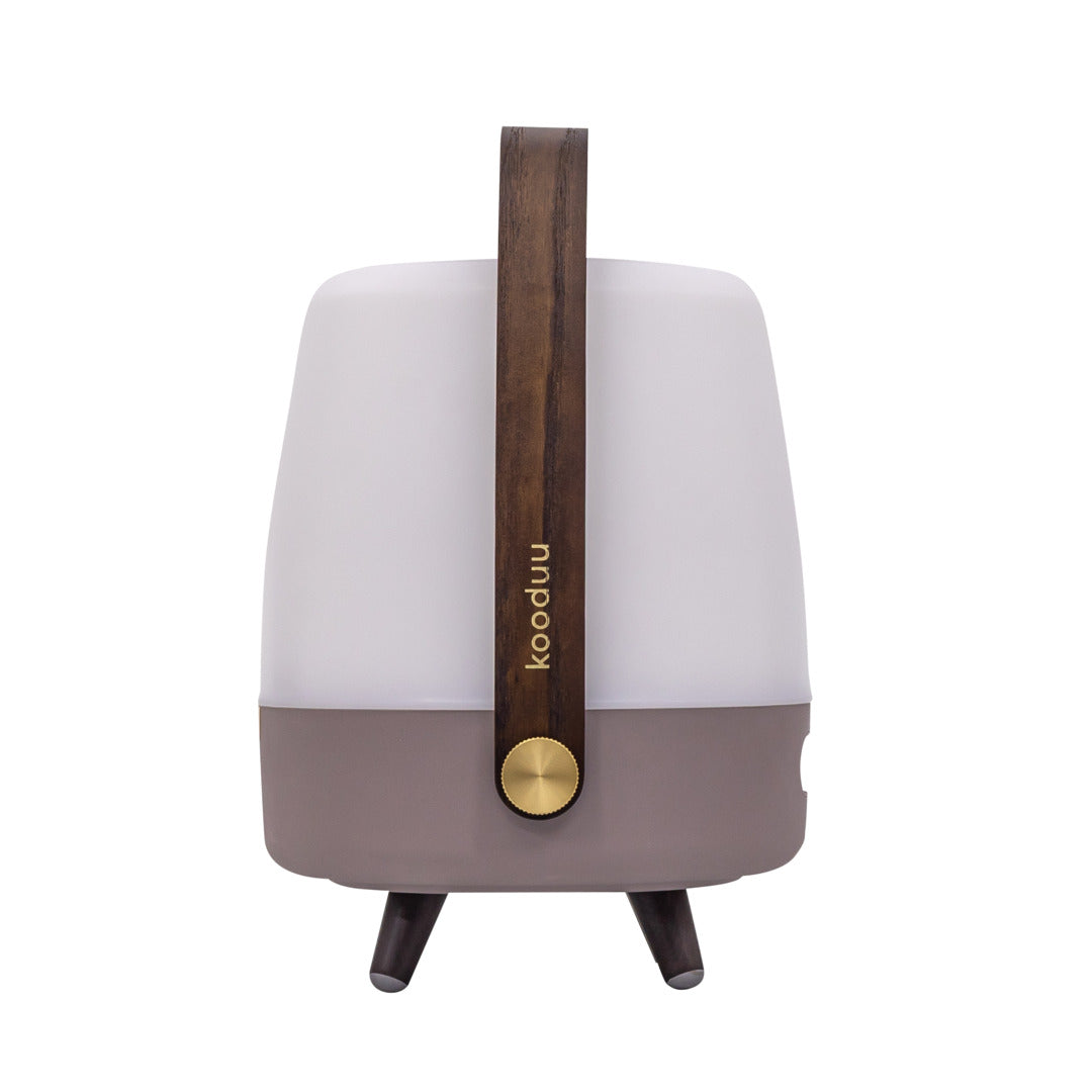 Lite-up Play Mini 2.0 (sound by JBL) Earth Speaker Lamp