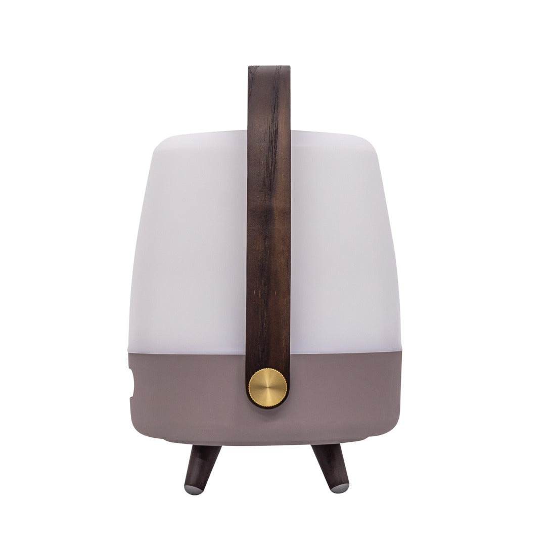 Lite-up Play Mini 2.0 (sound by JBL) Earth Speaker Lamp