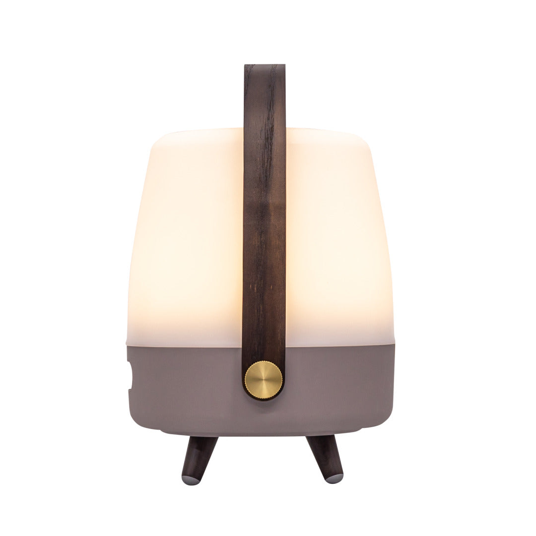 Lite-up Play Mini 2.0 (sound by JBL) Earth Speaker Lamp