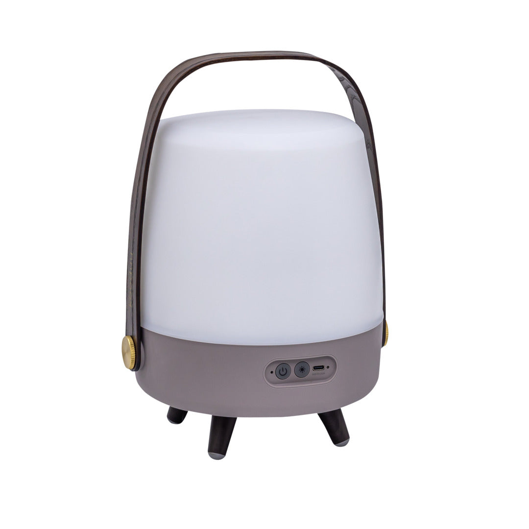Lite-up Play Mini 2.0 (sound by JBL) Earth Speaker Lamp
