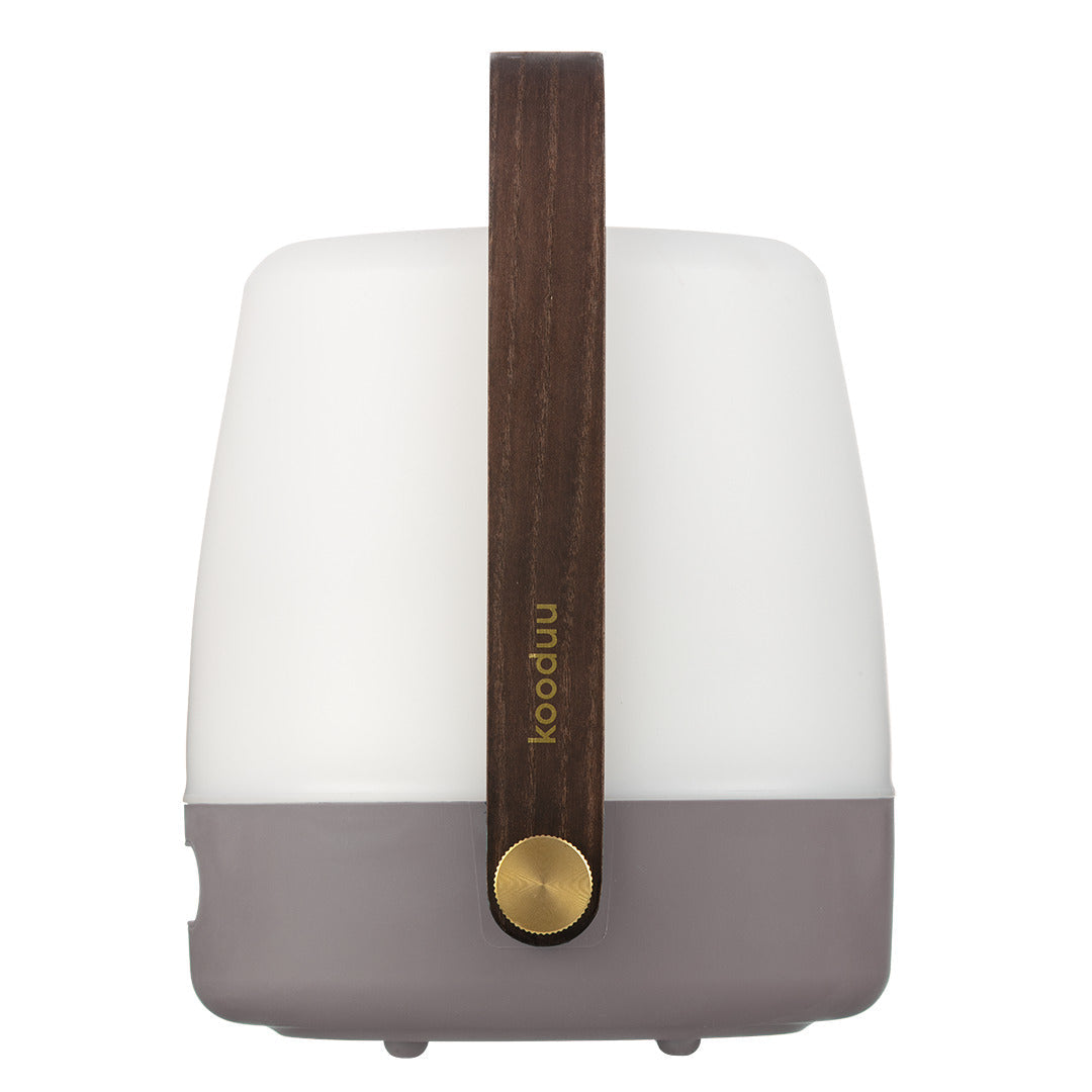 Lite-Up Earth 2.0 Table Lamp