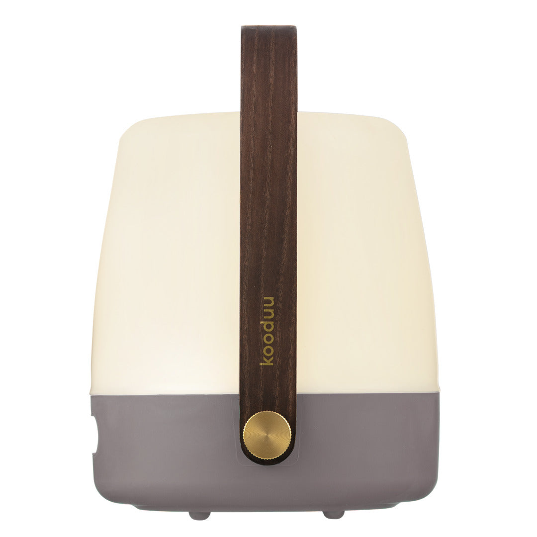 Lite-Up Earth 2.0 Table Lamp