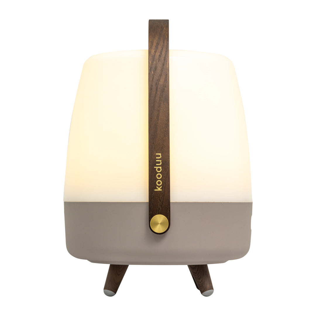Lite-up Play 2.0 (Sound By JBL) Earth Speaker Lamp