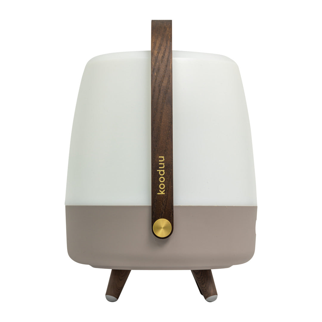 Lite-up Play 2.0 (Sound By JBL) Earth Speaker Lamp