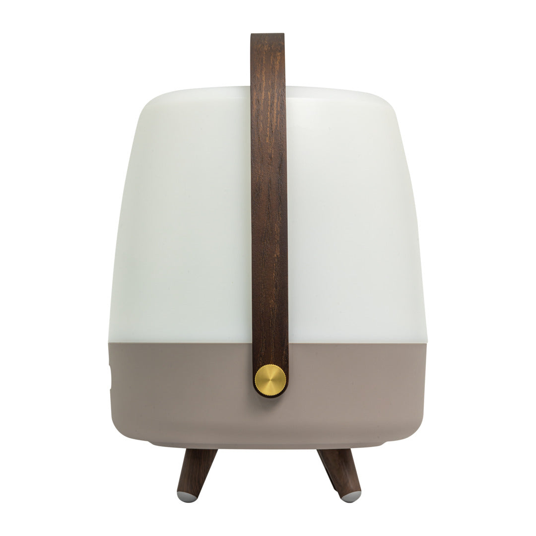 Lite-up Play 2.0 (Sound By JBL) Earth Speaker Lamp