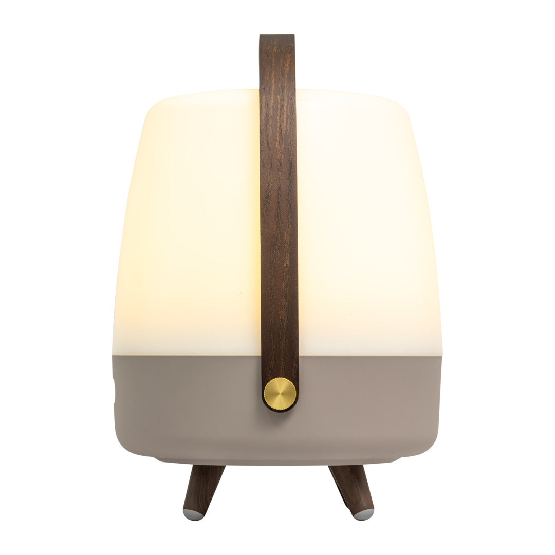 Lite-up Play 2.0 (Sound By JBL) Earth Speaker Lamp
