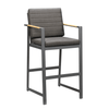 Vision Bar Stool - Charcoal