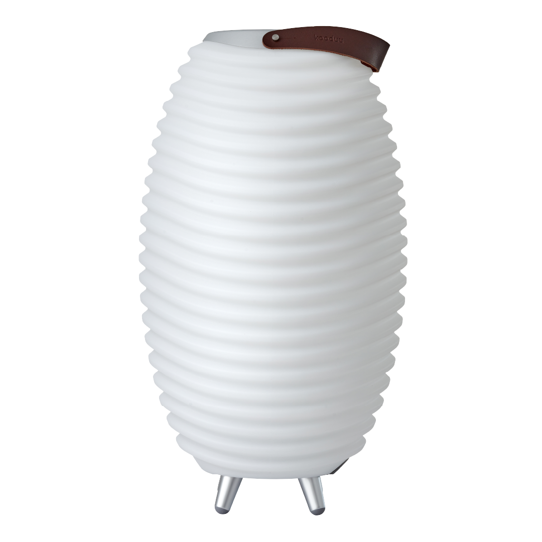 Synergy 50 LED Lamp with Bluetooth Speaker & Drink Cooler