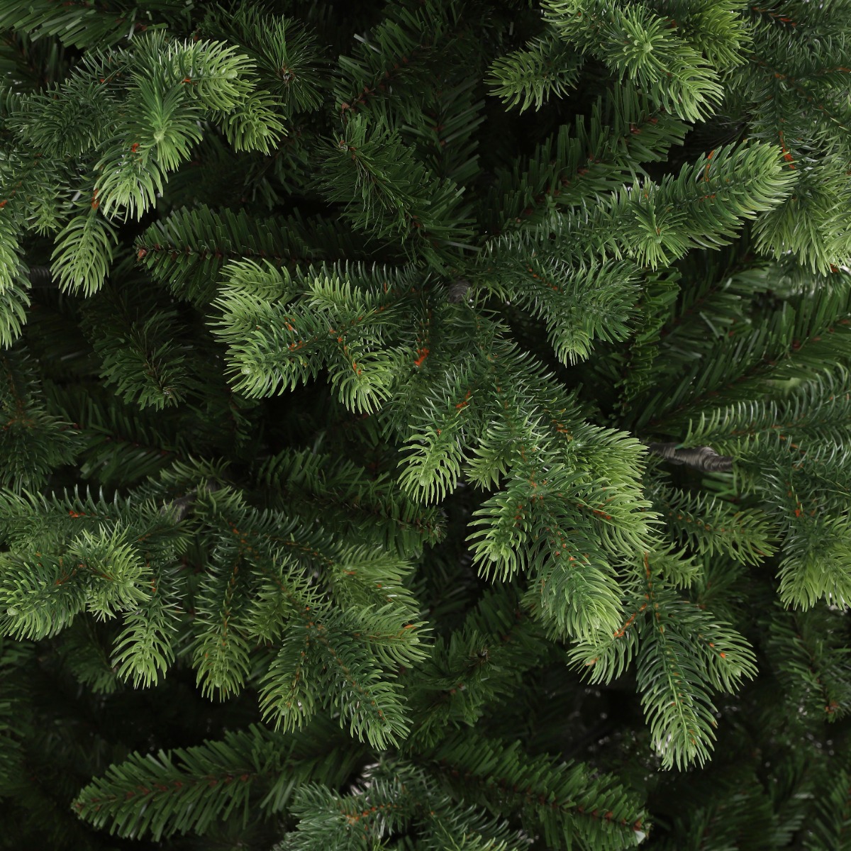 Maclura Christmas Tree With Tip 4097