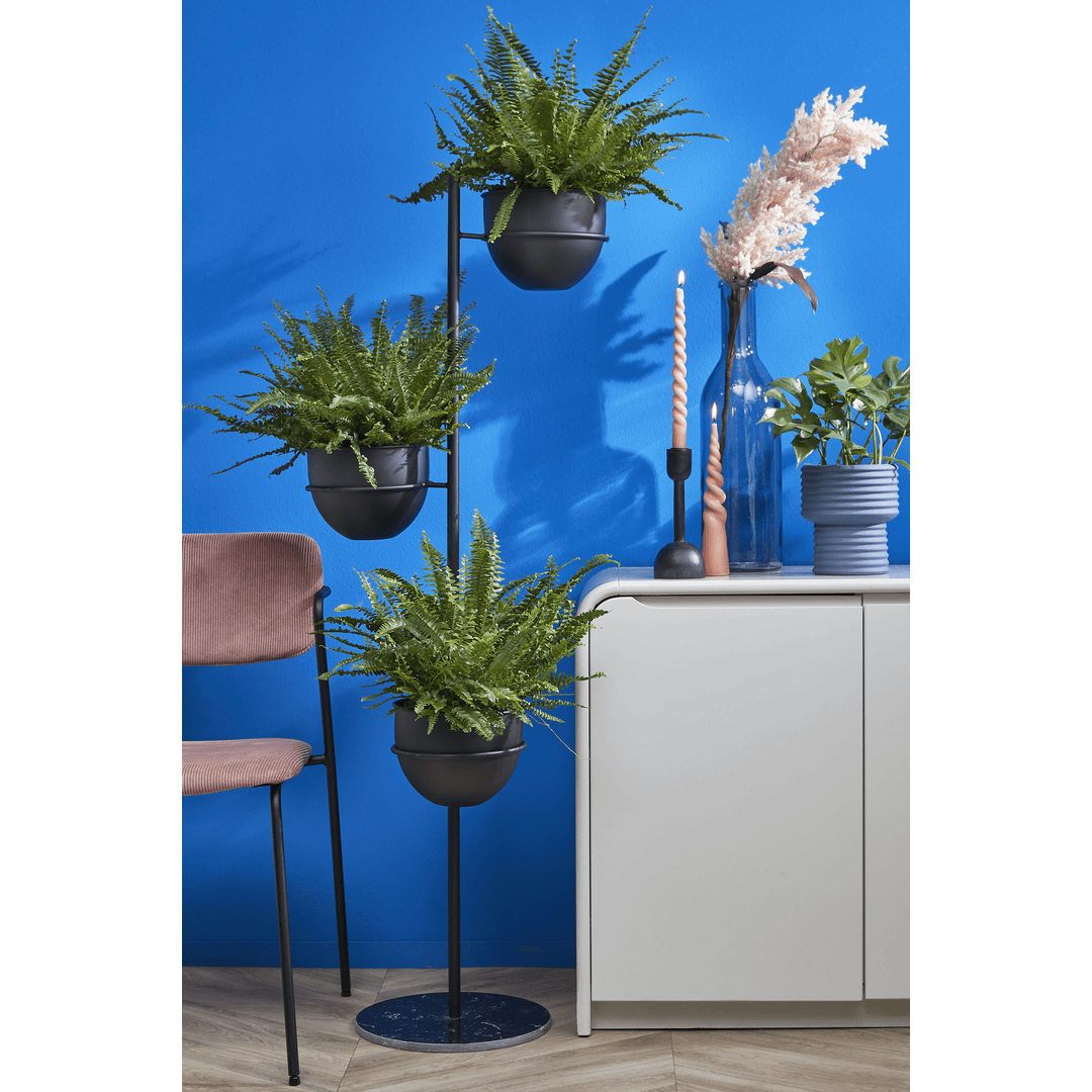 Plant Holder Stand - Black