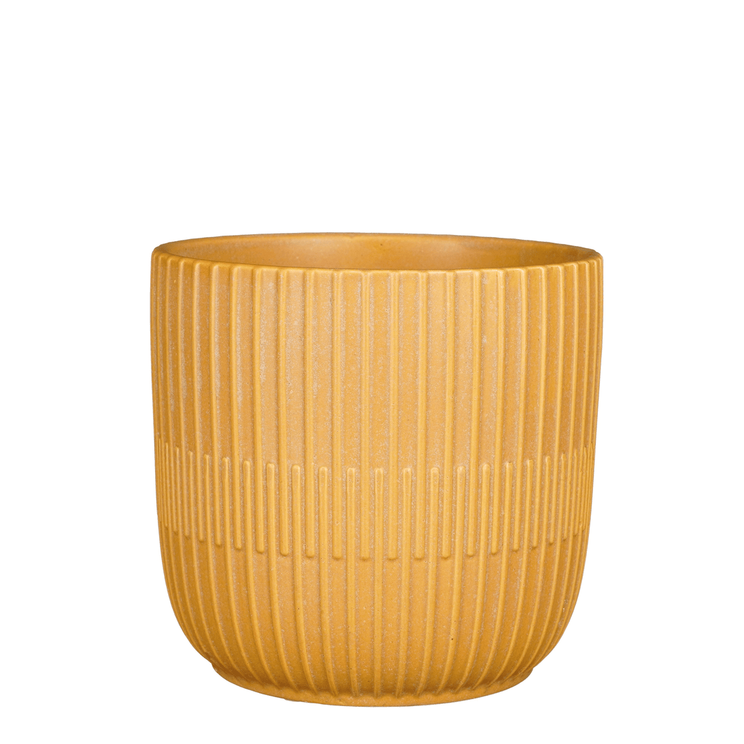 Sara Round Pot - Ochre Matt 