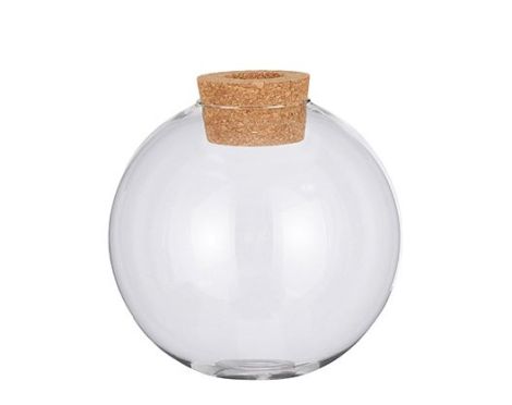 Jillian Clear Glass Vase (L)