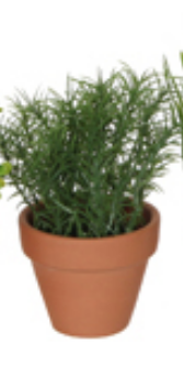 HERB ARTIFICIAL PLANT IN POT GREEN- EDEL-1030233-2- SUNCOAST