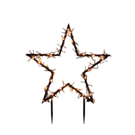 Garden Star Light Stake 150 Led Lights Warm White Includes 8 Functions