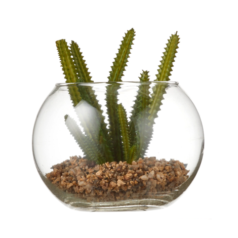 SUCCULENT PLANT IN GLASS POT GREEN
