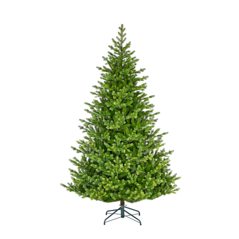 MACLURA CHRISTMAS TREE GREEN TIPS 3521-EDEL-1083532