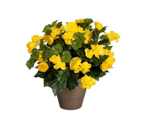BEGONIA ARTIFICIAL PLANT IN POT YELLOW- SUNCOAST