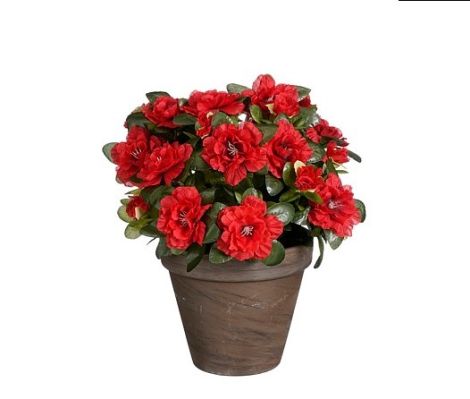 Azalea Artificial Flower Plant In Pot-Red