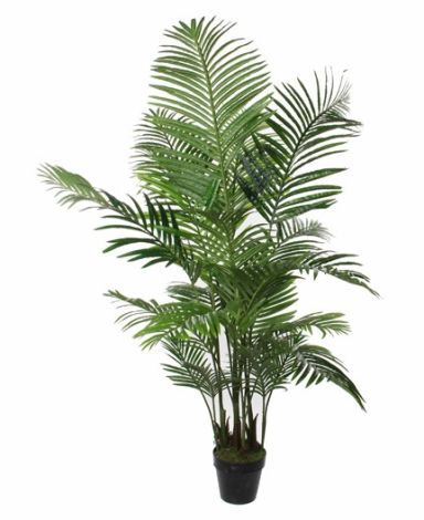 ARECA PALM PLANT IN POT POLYSTER GREEN-EDEL-1026427 SUNCOAST