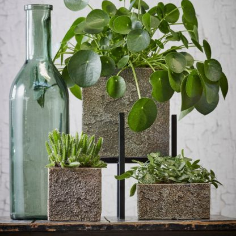 Rioja Decorative Glass Bottle Grey