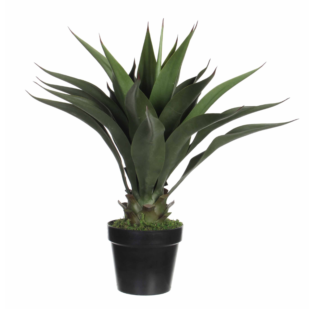 Artificial Agave In Pot - Green 