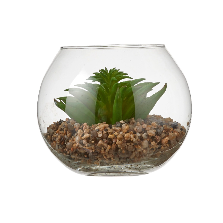 Succulent In Glass - Green