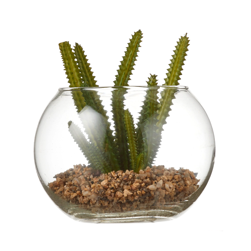 Succulent In Glass - Green