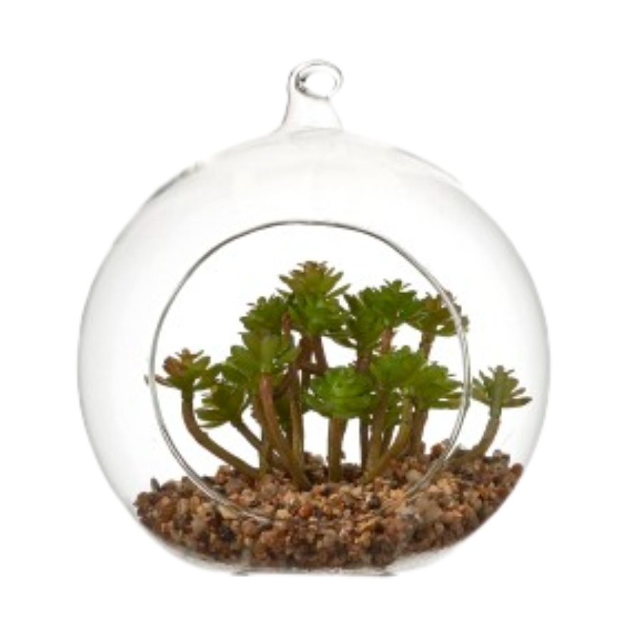 Succulent In Glass - Green