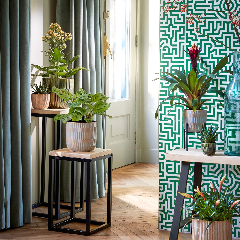Oskar Plant Table (S) - Black