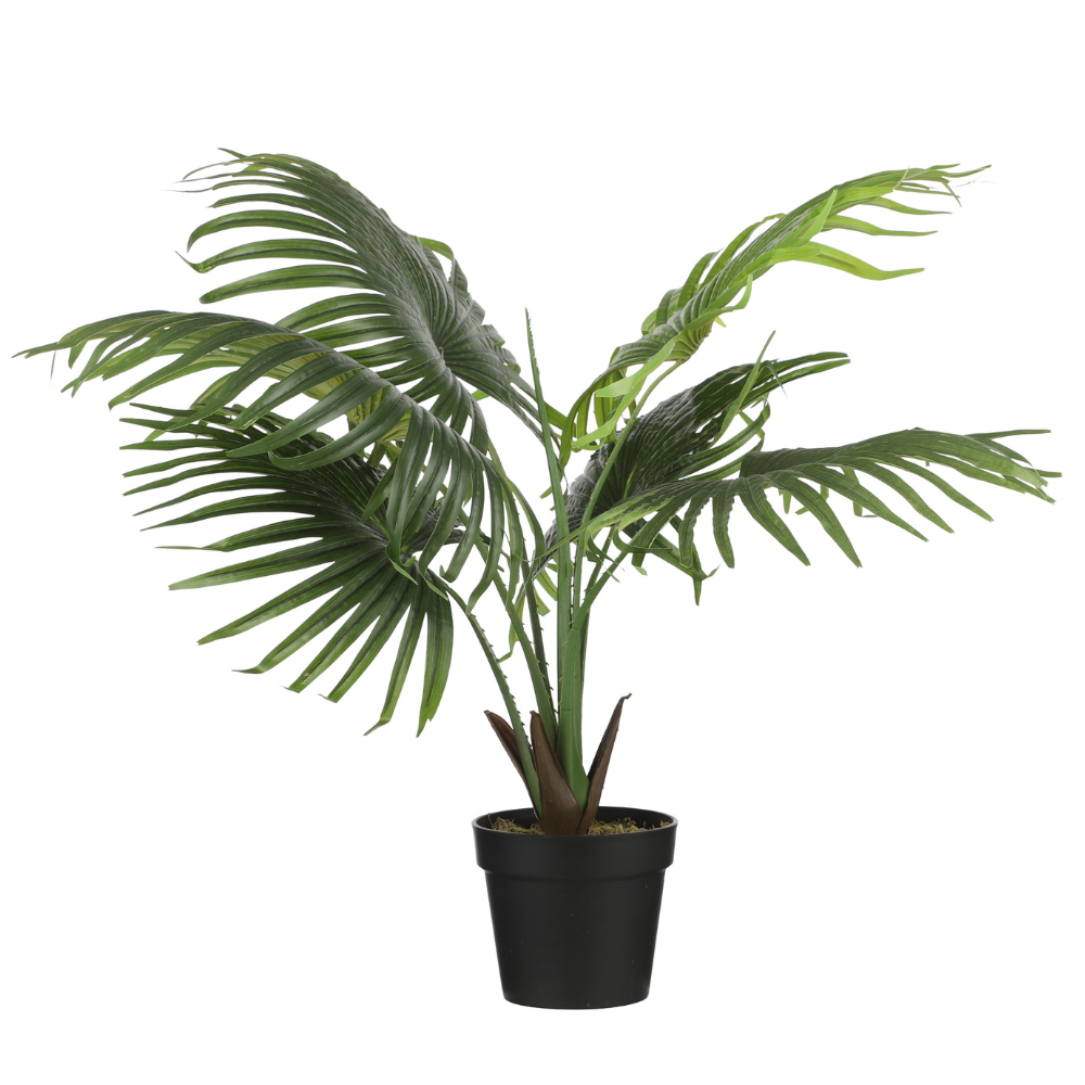 Artificial Palm In Pot - Green