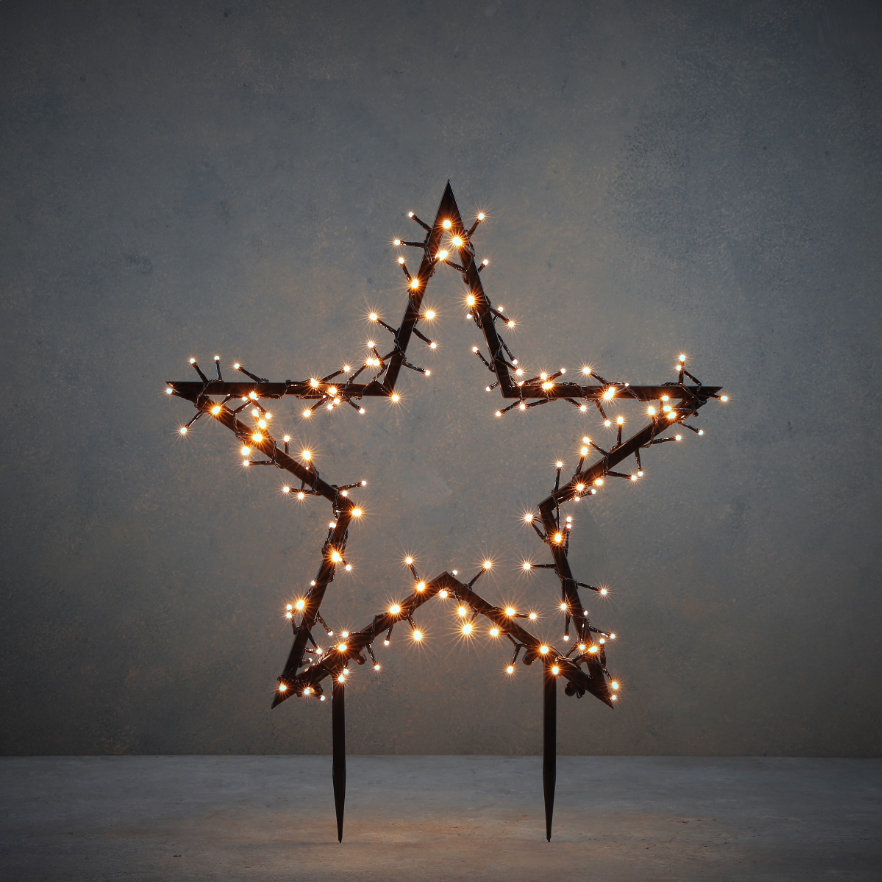 Garden Star Light Stake 150 Led Lights Warm White Includes 8 Functions