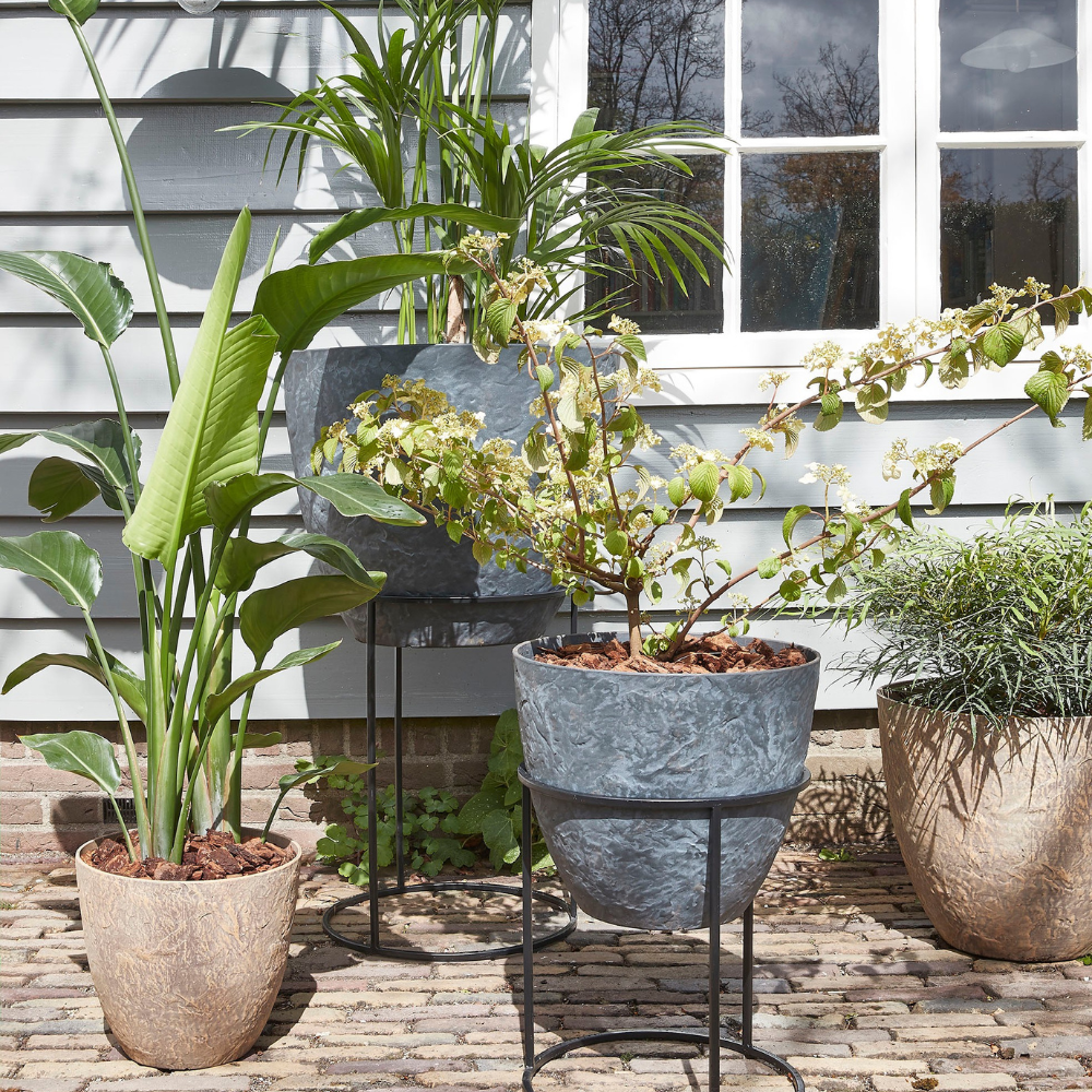 Bravo Round Pot Planters (M) - Brown