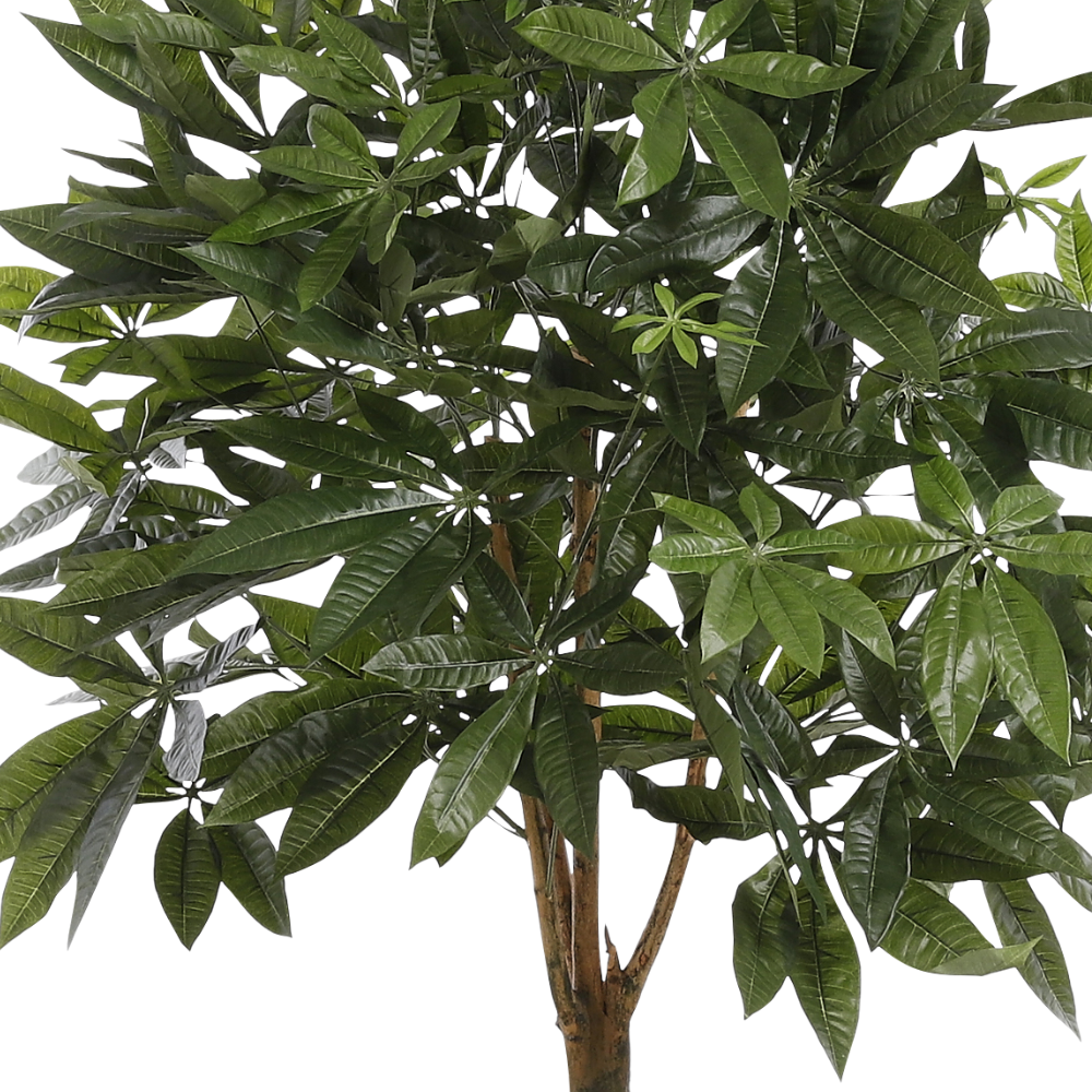 Pachira Artificial Plant in Pot - Green 
