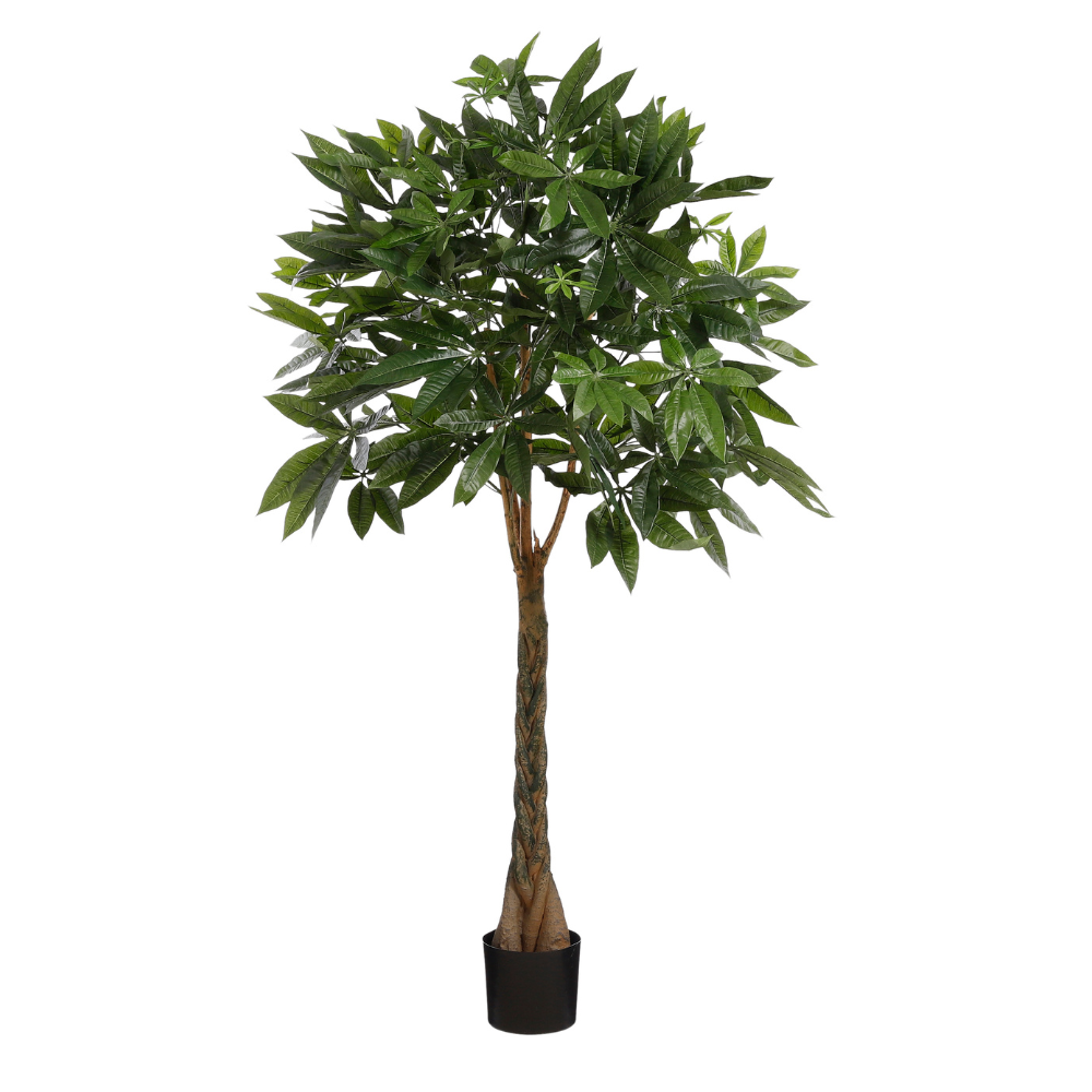 Pachira Artificial Plant in Pot - Green 