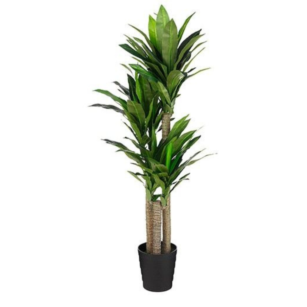 Dracaena Artificial Plant in Pot - Green