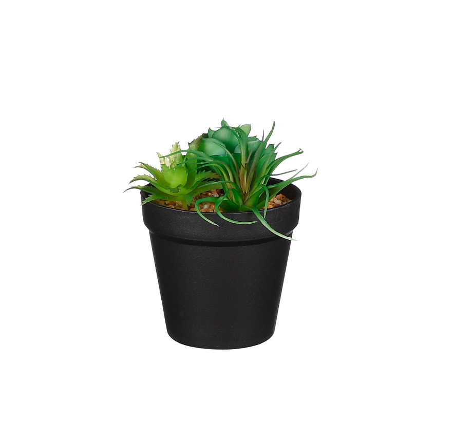 Artificial Succulent In Pot - Green