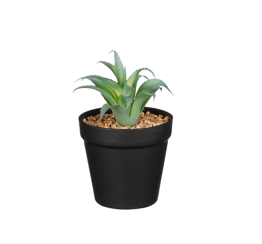 Artificial Succulent In Pot Green